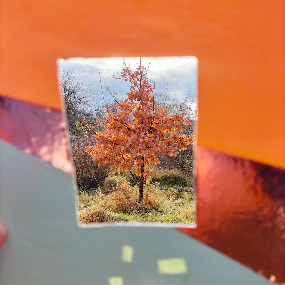 View Finder